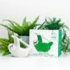 Le Paresseux Vert 1 Le Paresseux Vert -CADEAUX FOLIES Soldes 1chia sloth 2