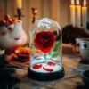 Lampe Rose Enchantée - La Belle Et La Bête -CADEAUX FOLIES Soldes bielig new