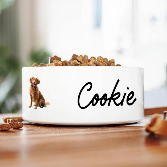 Gamelle Personnalisée Avec Photo Et Nom 3 Gamelle Personnalisée Avec Photo Et Nom